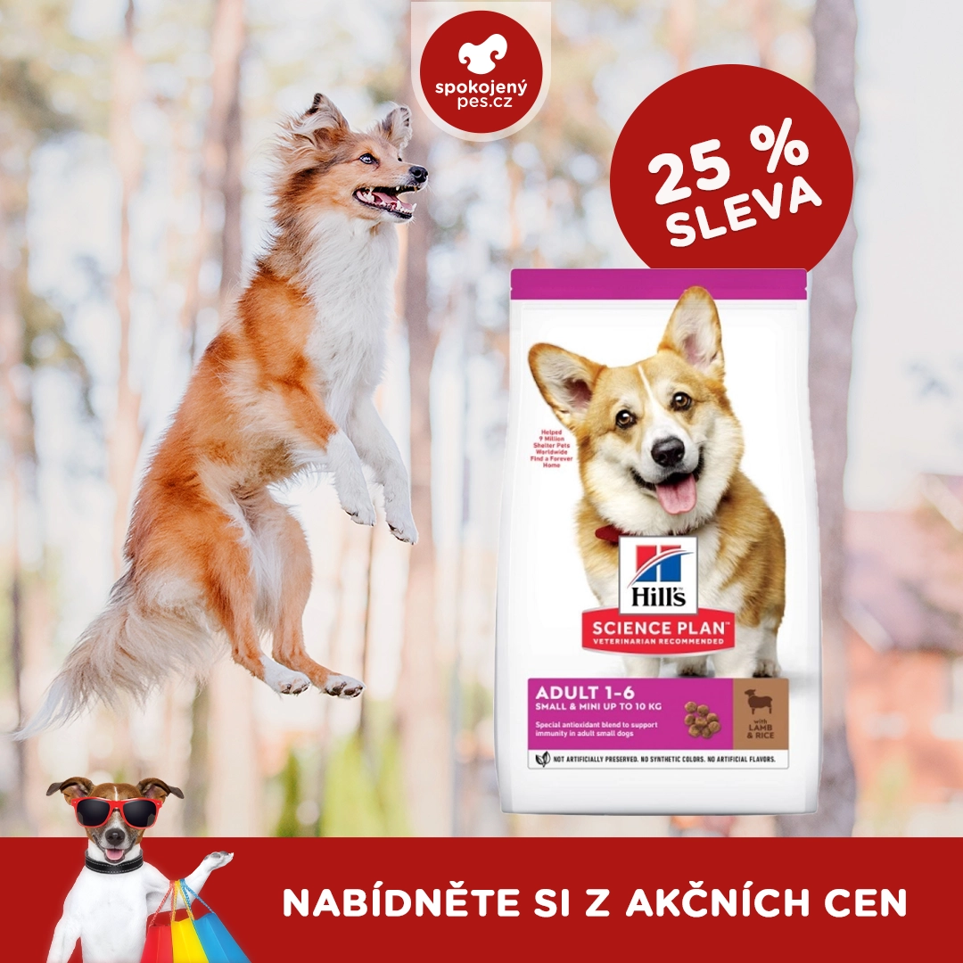 dog hills.webp